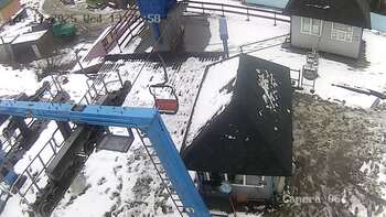 Витяг «Карпатська чайка»