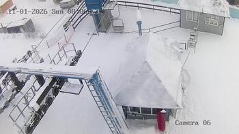 Витяг «Карпатська чайка»