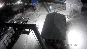 Wyciąg «Mewa karpacka»