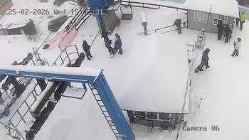 Wyciąg «Mewa karpacka»