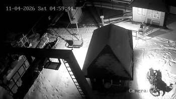 Витяг «Карпатська чайка»