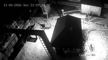 Wyciąg «Mewa karpacka»