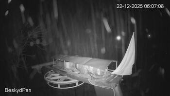 Нижня станція