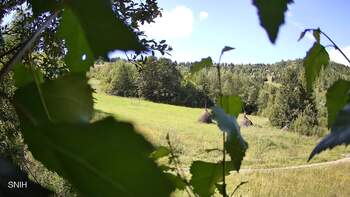 Widok na trasę