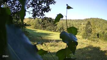 View track