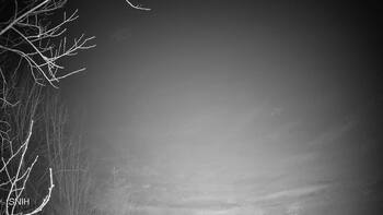 Вид на трасу