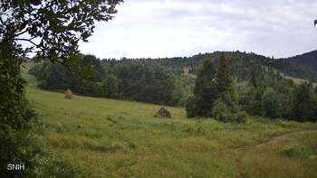 View track