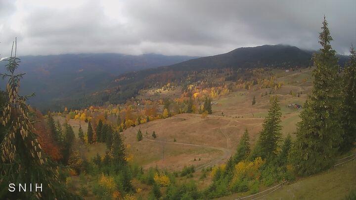 Yasinia — Близниця з Ясіня