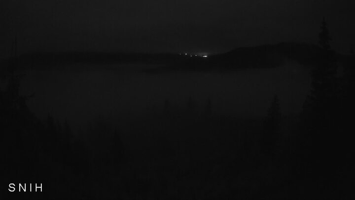 Yasinia — Близниця з Ясіня