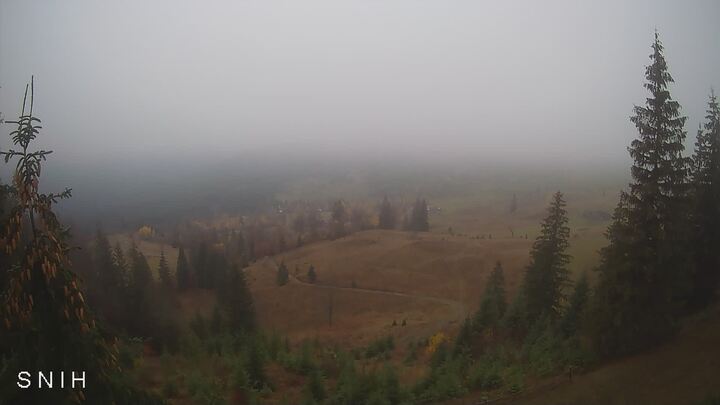 Yasinia — Близниця з Ясіня