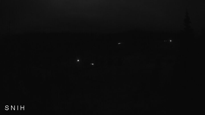 Yasinia — Близниця з Ясіня