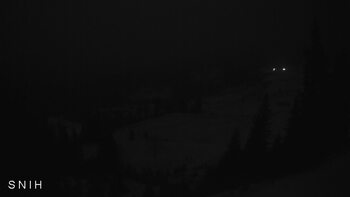 Близниця з Ясіня