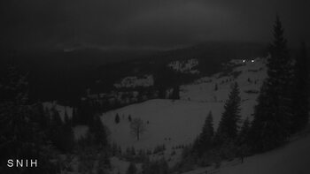 Близниця з Ясіня