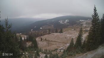 Близниця з Ясіня