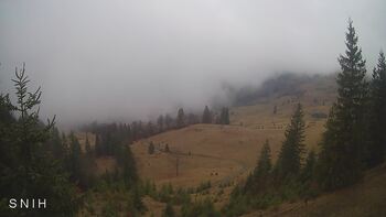 Близниця з Ясіня